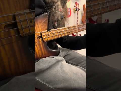 La Bella OSF4 Olinto Signature Flatwound Bass Guitar Strings - Standard 4-String 47-107